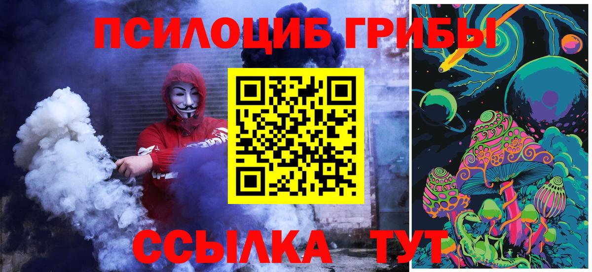Майкоп  Псилоцибиновые грибы Cubensis  Вход с VPN  Псилоцибиновые грибы мицелий 